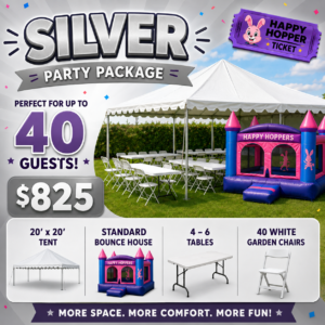 Silver Party Package Rental